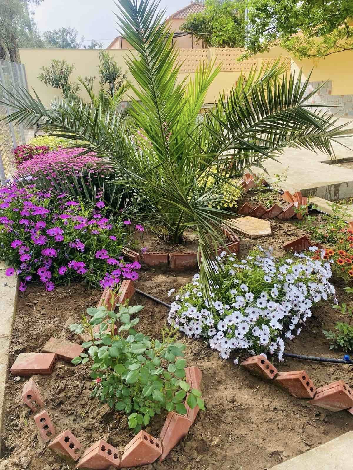 Villa Markos — Garden dining corner